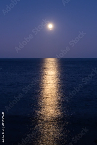 Obraz moonlight on the ocean