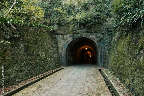 Obraz 苔むした石壁に囲まれた宇津ノ谷トンネルと歴史的レンガアーチの情緒ある風景
