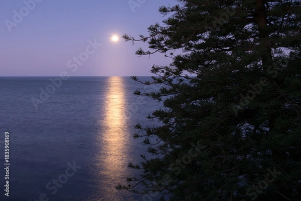 Obraz moonlight on the ocean