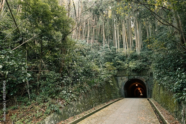 Obraz 苔むした石壁に囲まれた宇津ノ谷トンネルと歴史的レンガアーチの情緒ある風景
