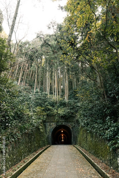 Obraz 苔むした石壁に囲まれた宇津ノ谷トンネルと歴史的レンガアーチの情緒ある風景
