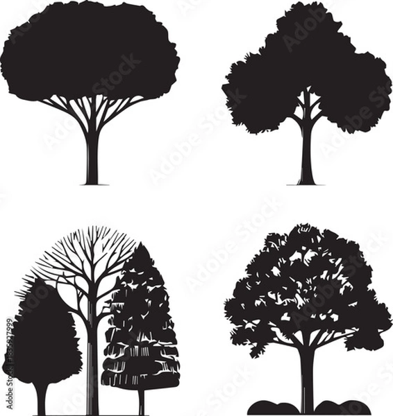 Obraz Four black Trees silhouettes set big highly vector tree set
