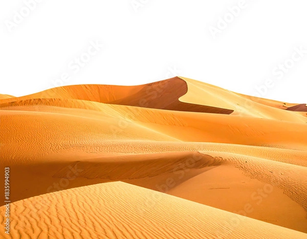 Fototapeta Vast, sun-drenched desert with rolling sand dunes under a clear, black sky