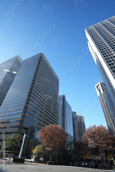 Fototapeta 新宿の高層ビル群