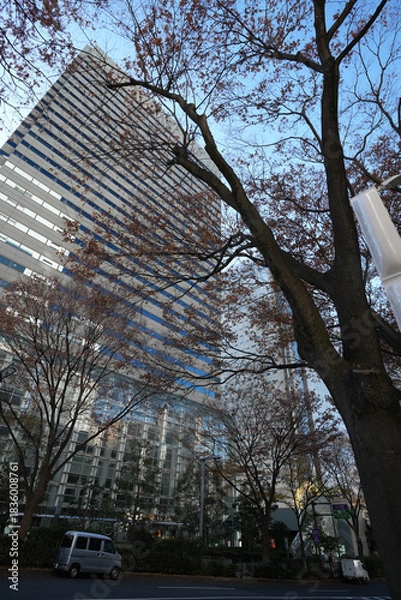 Fototapeta 新宿の高層ビル群