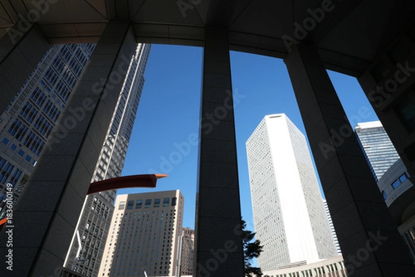 Fototapeta 新宿の高層ビル群