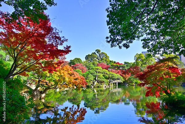 Obraz 都会の楽園　神戸の相楽園の紅葉