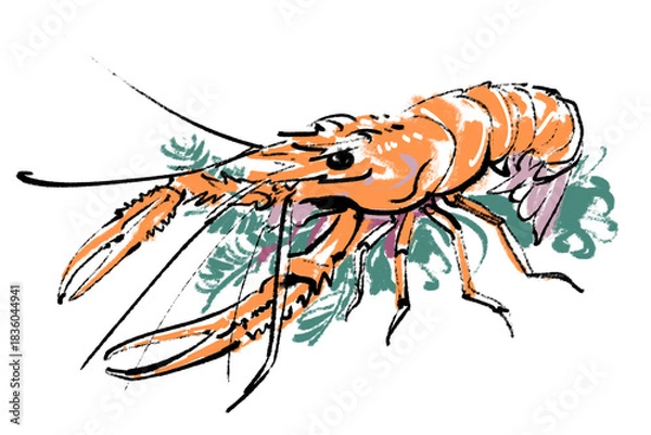 Fototapeta アカザエビ