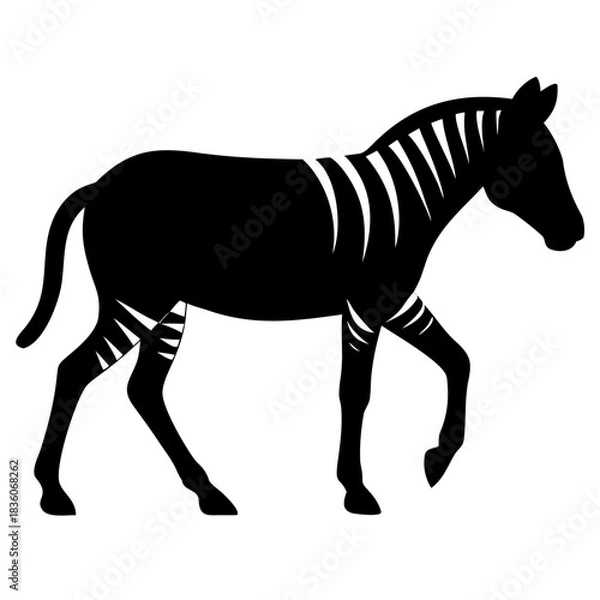 Fototapeta zebra  silhouette
