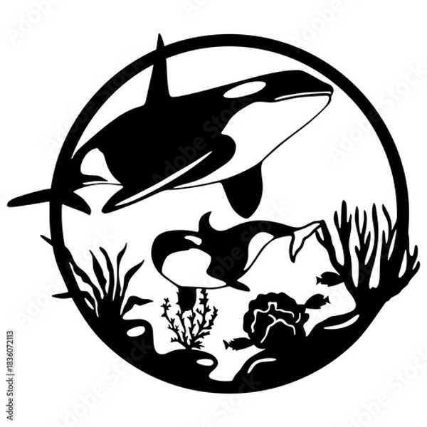 Fototapeta Killer Whale