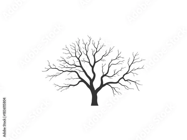 Obraz Leafless tree silhouette vector