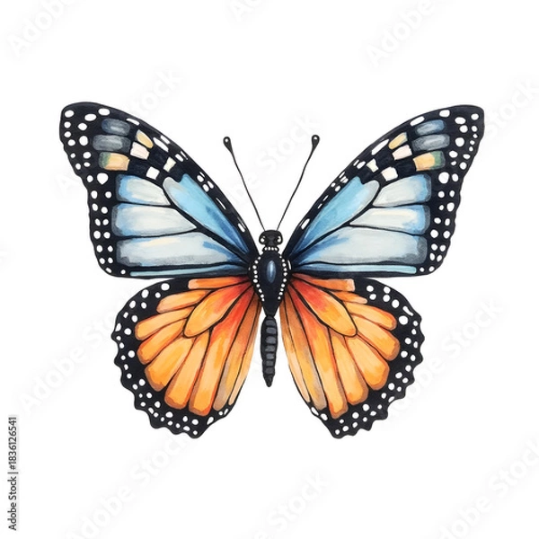 Obraz Hand drawn watercolor butterfly