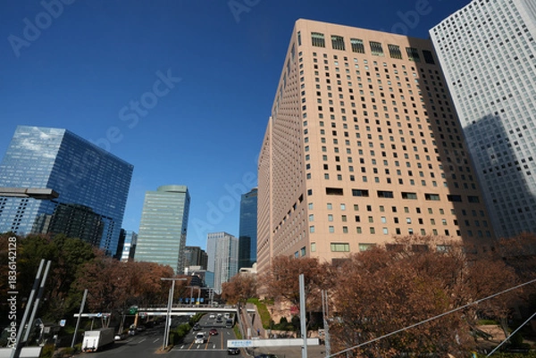 Fototapeta 新宿の高層ビル群