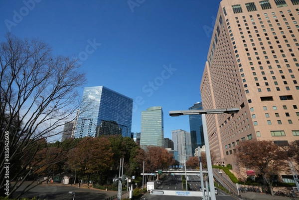 Fototapeta 新宿の高層ビル群