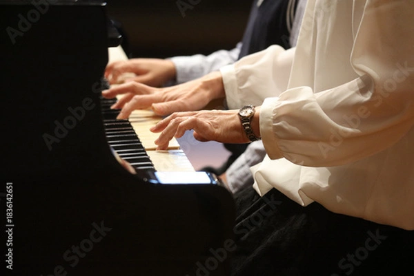 Obraz 	ピアノを弾く様子