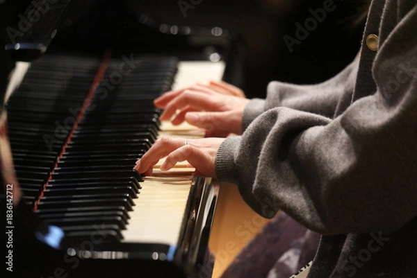 Obraz ピアノを弾く女の子