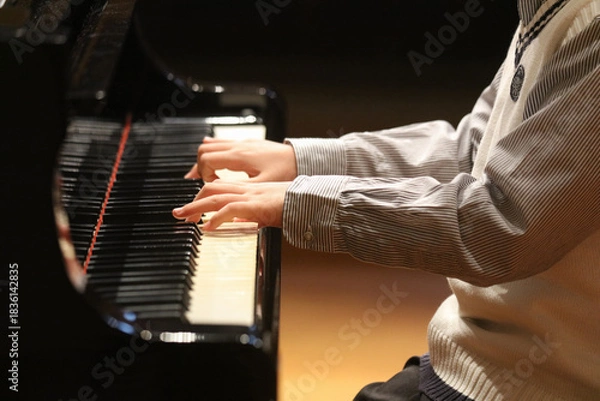 Obraz ピアノを弾く男の子