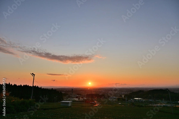Obraz 茶畑から昇る朝日