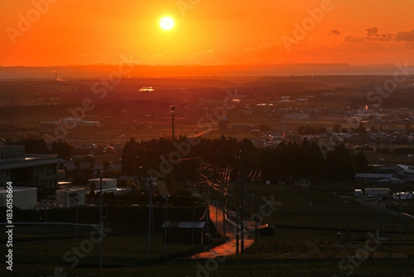 Obraz 茶畑から昇る朝日