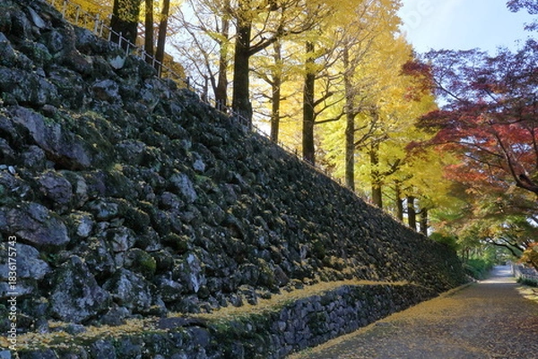 Obraz 秋の高知城を散策　（高知県　高知市）