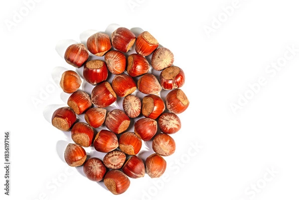 Fototapeta Haselnüsse in einer Nahaufnahme vor weißem Hintergrund