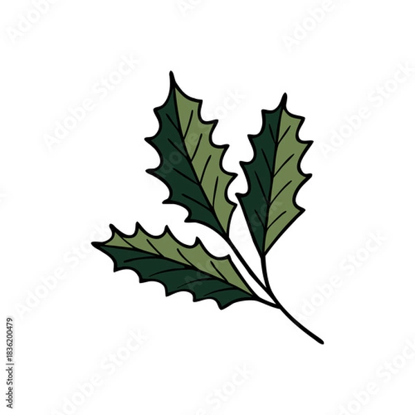 Fototapeta hand drawn oak autumn leaf isolated on white background