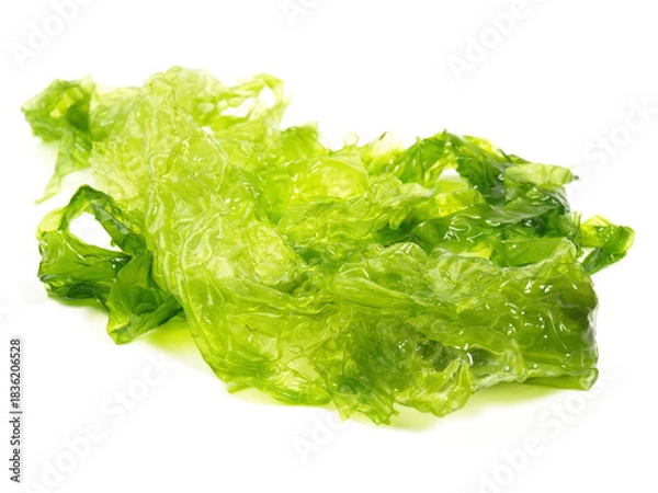 Obraz Food and Health - Fresh Green Algae on white Background