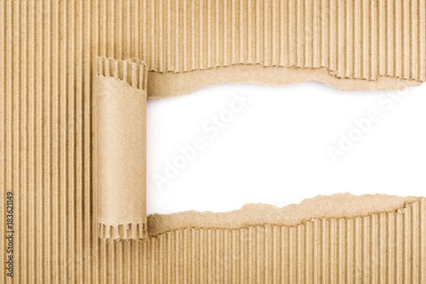 Fototapeta Torn cardboard Paper with space for text