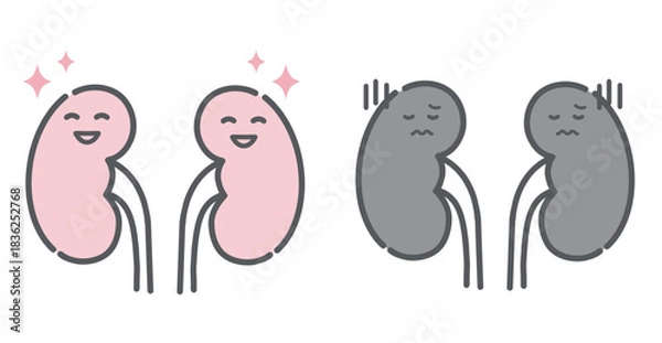 Obraz 健康な腎臓と不調な腎臓の比較イラスト（キャラクター）