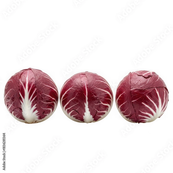 Obraz Three radicchio heads isolated on transparent background