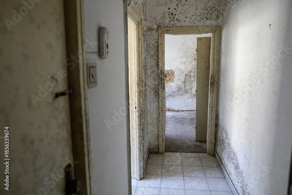 Fototapeta Details with mold heavy infesting the walls of an old apartment in a block of flats.