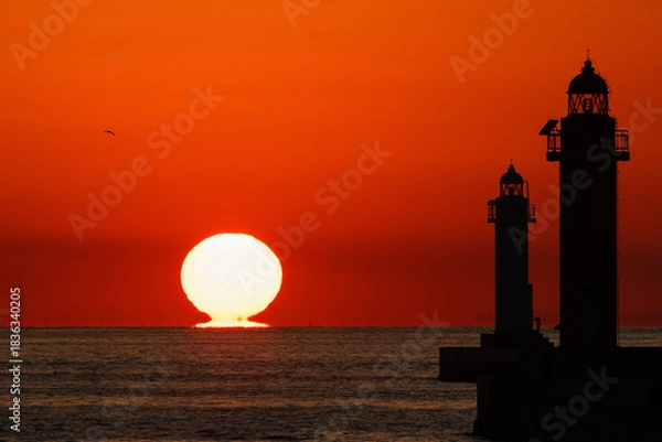 Fototapeta 師走の達磨夕日