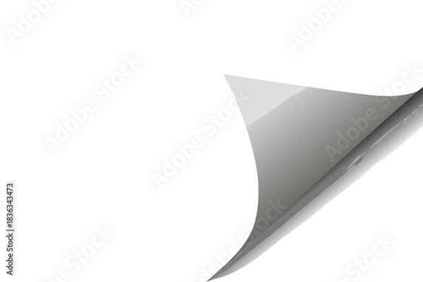 Obraz A peeled corner of a white surface revealing a gray underlayer