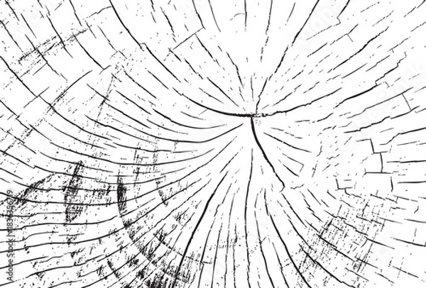 Obraz Cross Section Tree Trunk Vector Illustration with Detailed Crack Pattern