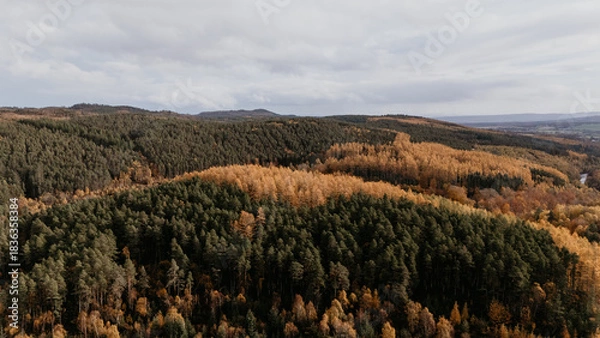 Obraz landscape with mountains