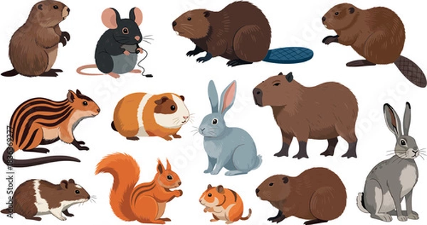 Fototapeta Rodent animals collection illustration including beaver capybara squirrel chipmunk guinea pig mouse rabbit and various small mammals