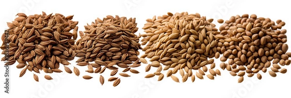 Obraz Light brown textured clusters on transparent background