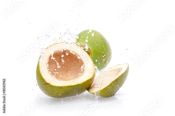 Obraz green drink coconut splashing