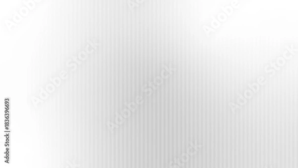 Fototapeta Abstract White and Gray Motion Gradient Background, Vector Illustration