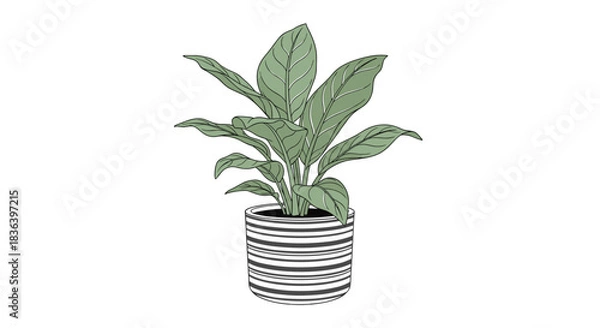 Obraz Minimalist line drawing of a lush green houseplant in a decorative black and white striped pot isolated on a white background.
