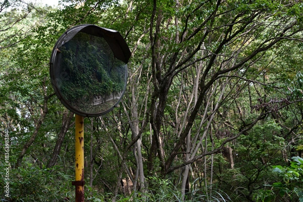 Obraz 森の中にある錆びれたカーブミラー