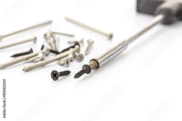 Obraz Close-up of assorted screws and a screwdriver bit on a white background