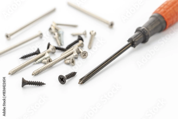 Obraz Assorted Screws and Screwdriver on a White Background for DIY Projects