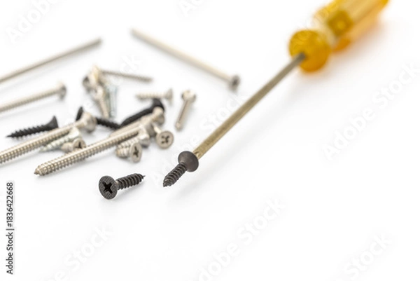 Obraz Close-up of Screws and Screwdriver on White Background