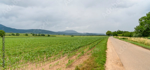 Obraz Idyllic Alsace scenery