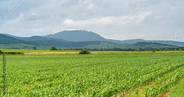 Obraz Idyllic Alsace scenery
