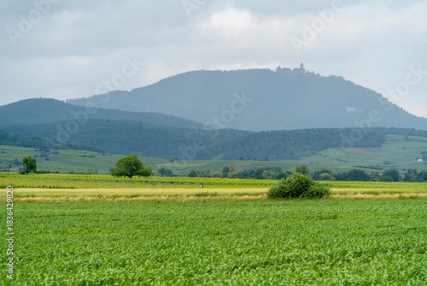 Obraz Idyllic Alsace scenery