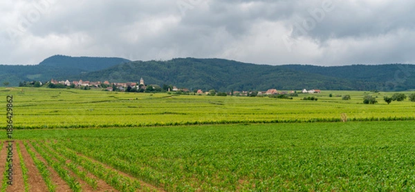 Obraz Idyllic Alsace scenery