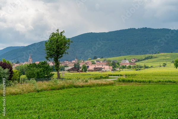 Obraz Idyllic Alsace scenery