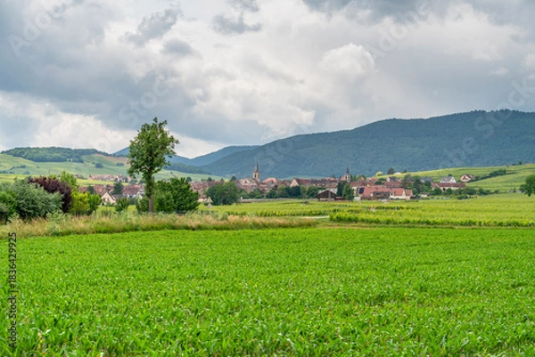 Obraz Idyllic Alsace scenery